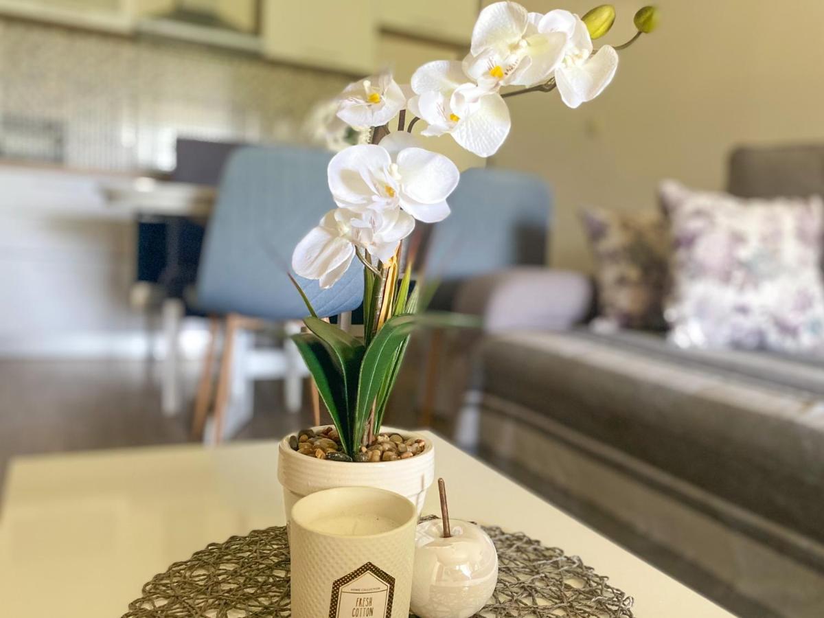Apartment Laganini Sarica Struga Ngoại thất bức ảnh